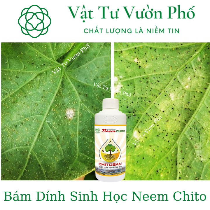 Bám Dính Sinh Học Neem Chito DT2 Điền Trang