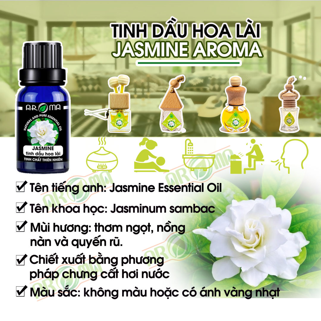 Tinh dầu Hoa Lài AROMA Jasmine Essential Oil, tinh dầu thơm phòng, khơi dậy cảm xúc thăng hoa