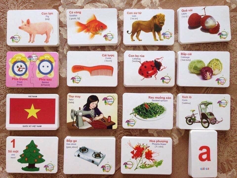 [HOT][GIÁ HỦY DIỆT] BỘ THẺ HỌC THÔNG MINH CHO BÉ