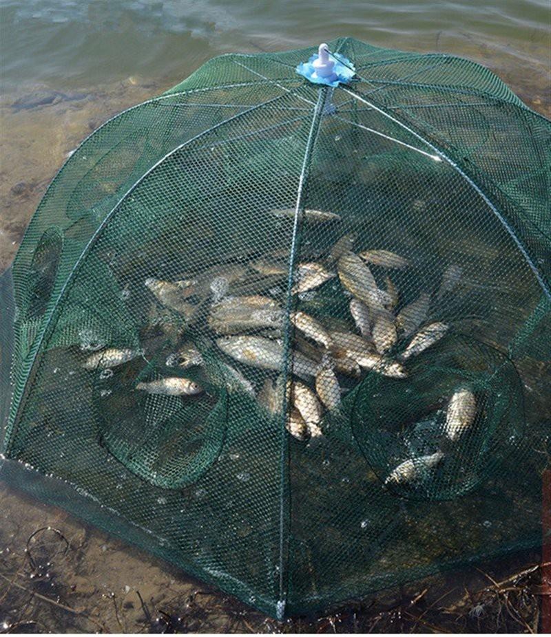Lồng đánh bắt cá bát quái 8 cửa và 12 cửa