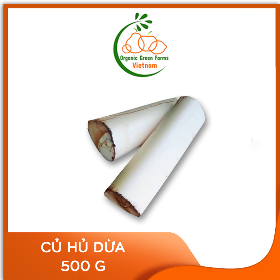 [OGF] - Củ hủ dừa Bến Tre (500 g) - [Giao nhanh TPHCM]