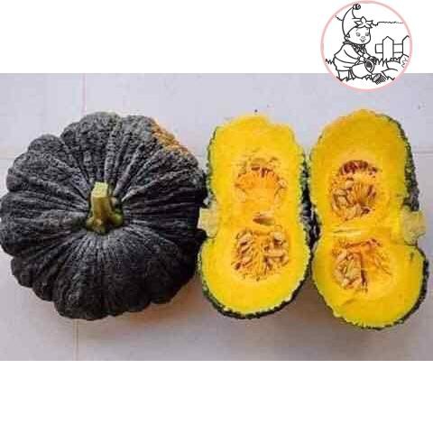 HẠT BÍ ĐỎ DA CÓC F1 - GÓI 2 GRAM