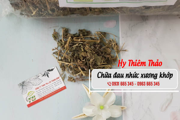 Hy Thiêm Thảo Khô 1KG - Đông Y Thanh Bình