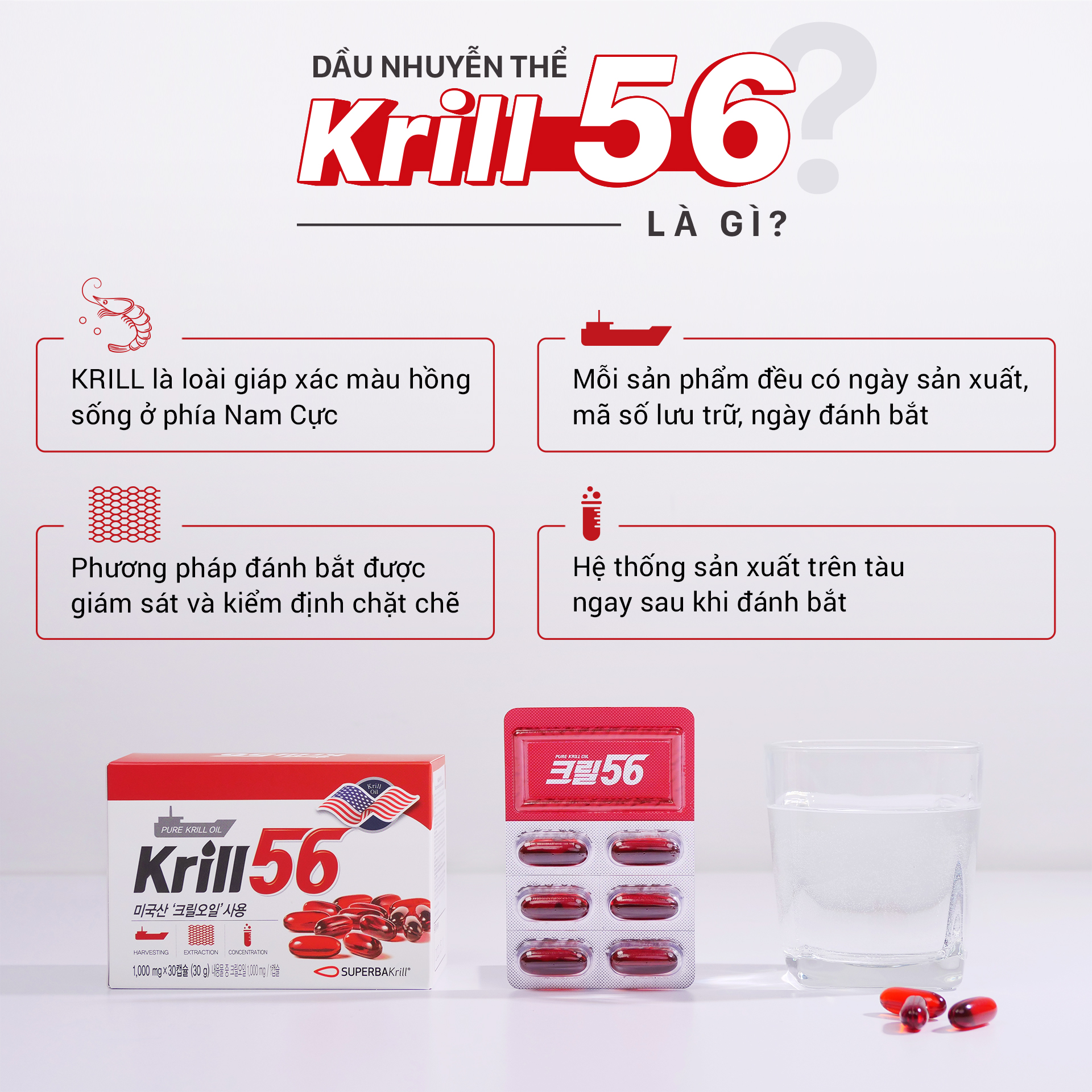 [HCM]Combo 2 hộp Dầu nhuyễn thể KRILL 56 [mua 2 tặng 1]