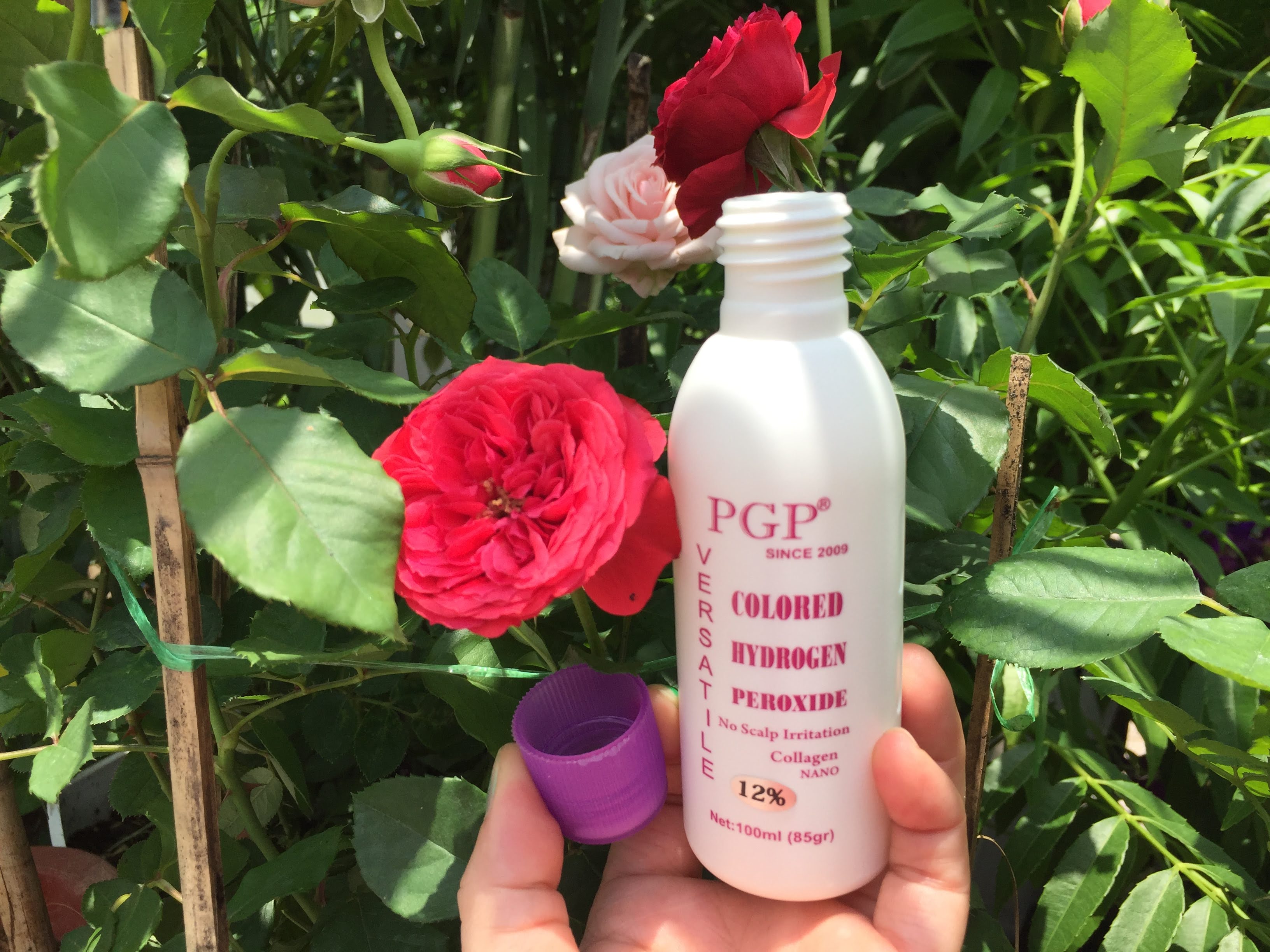 1 chai dung dịch Oxy trợ nhuộm tóc PGP 12% 100 ml