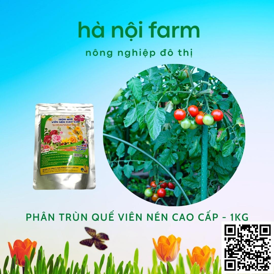 phân trùn quế viên nén cao cấp - gói 1kg
