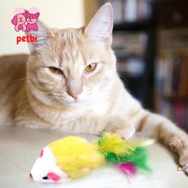 Chuột đồ chơi cho thú cưng - chuột đồ chơi cho Chó Mèo Petbi