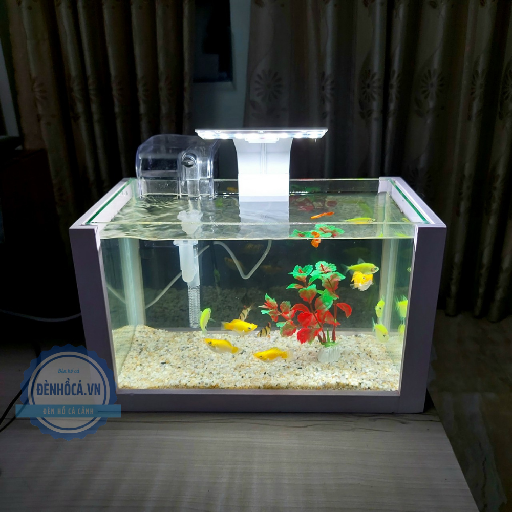 Bể cá mini 30cm COMBO đầy đủ phụ kiện