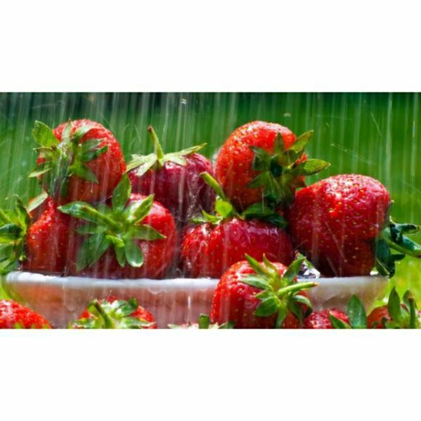 Hạt Giống Dâu Tây Đỏ Khổng Lồ Gói 50 Hạt