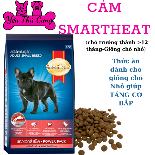 Thức ăn tăng cơ cho giống chó nhỏ smartheart power small breed 3kg - yêu thú cưng