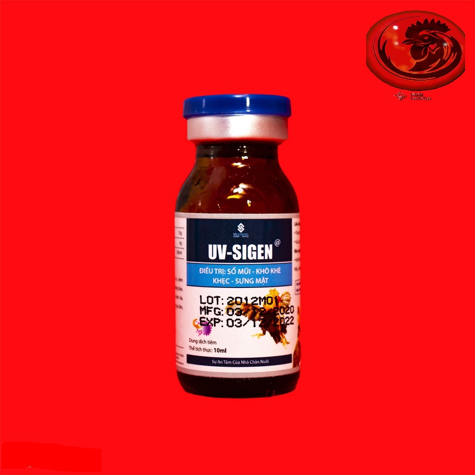 UV - SIGEN đặc trị xỗ mũi, khò khè cho gà đá 1 LỌ 10ML