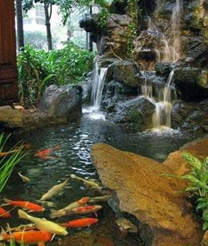 Dụng cụ đo độ PH của nước SERA