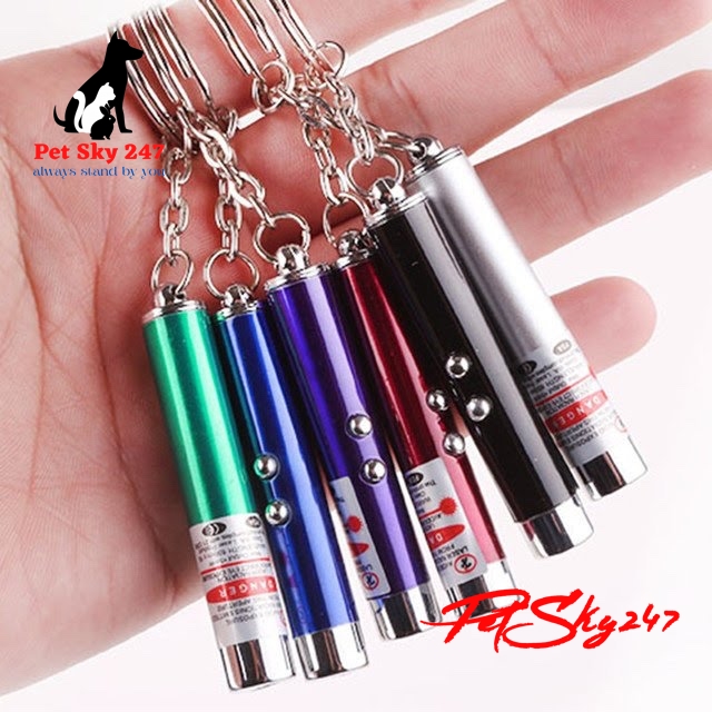 [HCM]Đồ Chơi Đèn Laser Led Cho Chó Mèo