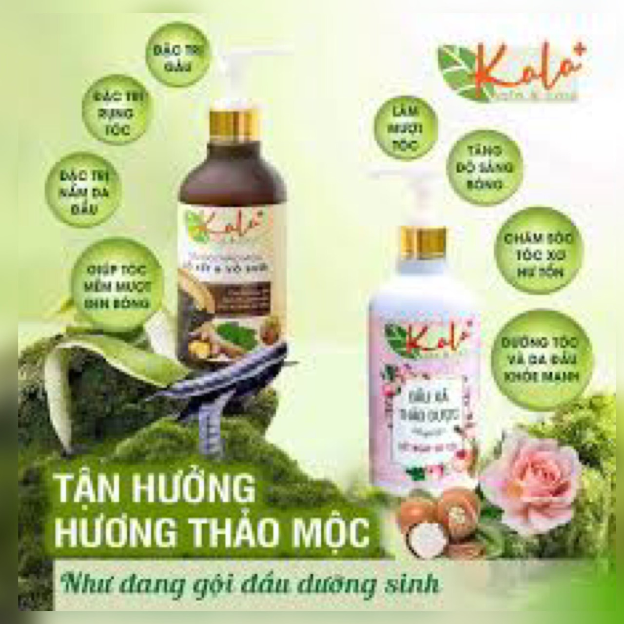 Dầu gội thảo mộc Kala chính hãng