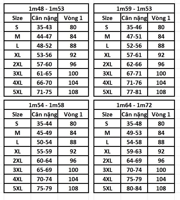 ÁO KIỂU CÔNG SỞ