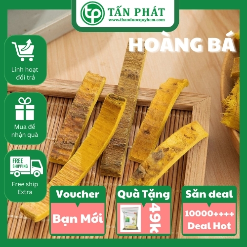 [Hàng công ty] Hoàng bá sấy khô 500g -  Tấn Phát - Chuyên dùng để pha trà và sắc nước uống
