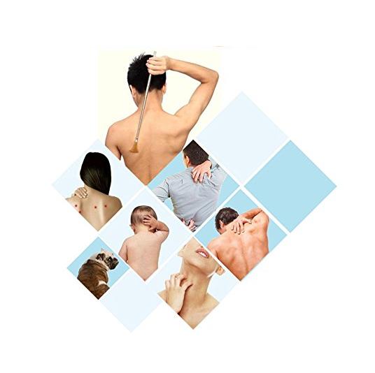 Gậy Gãi Lưng Rút Gọn Anten