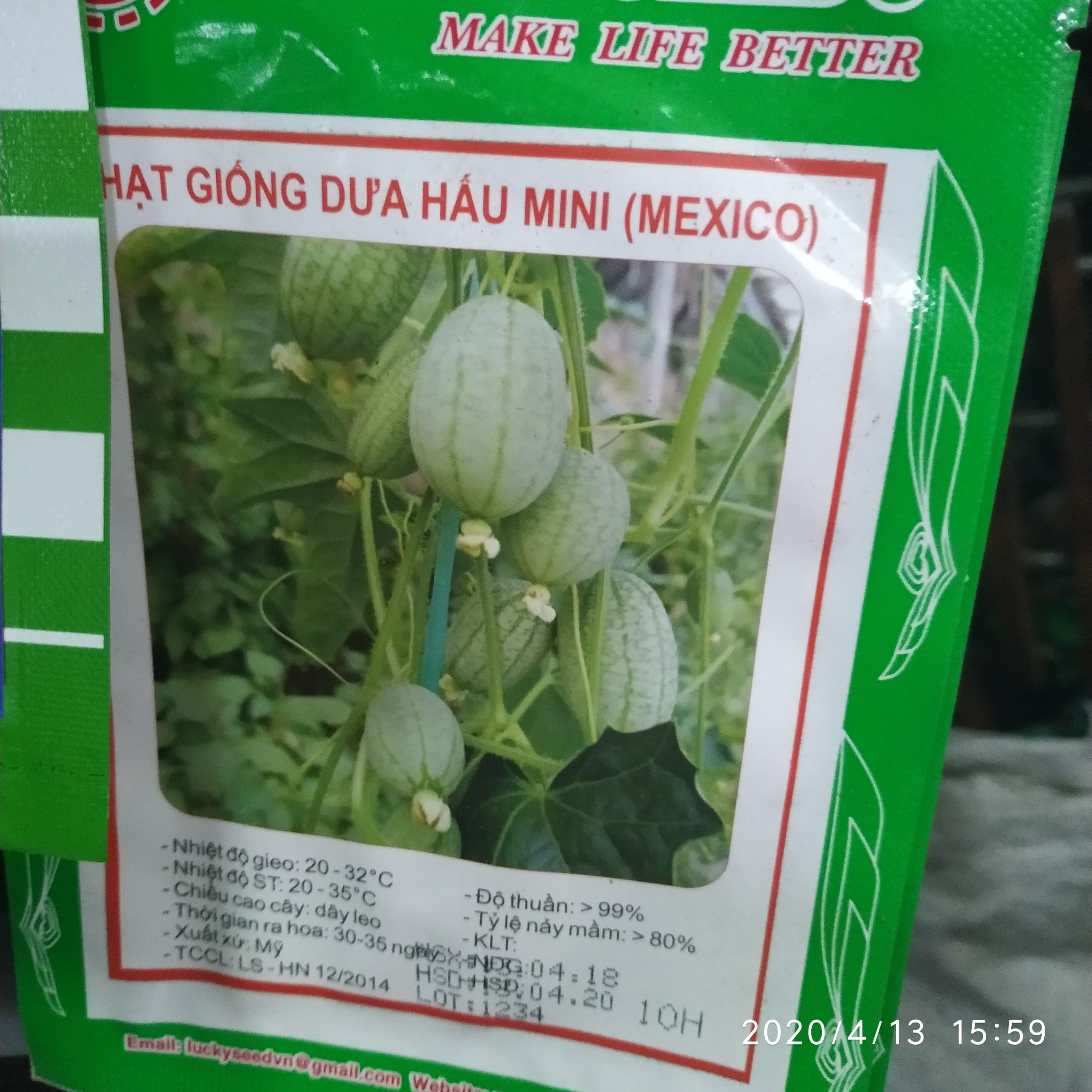 Hat giông dưa hấu mini