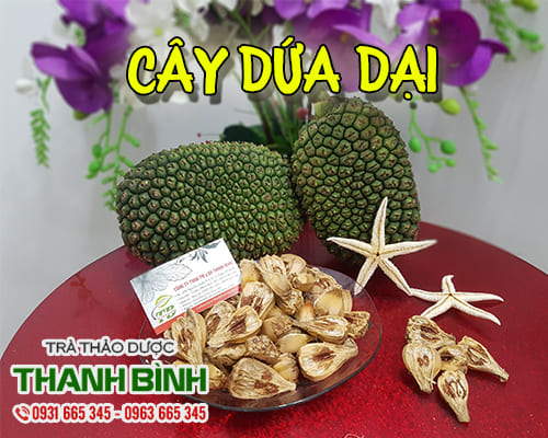 Quả Dứa dại khô 1Kg cao cấp - Hàng Công Ty