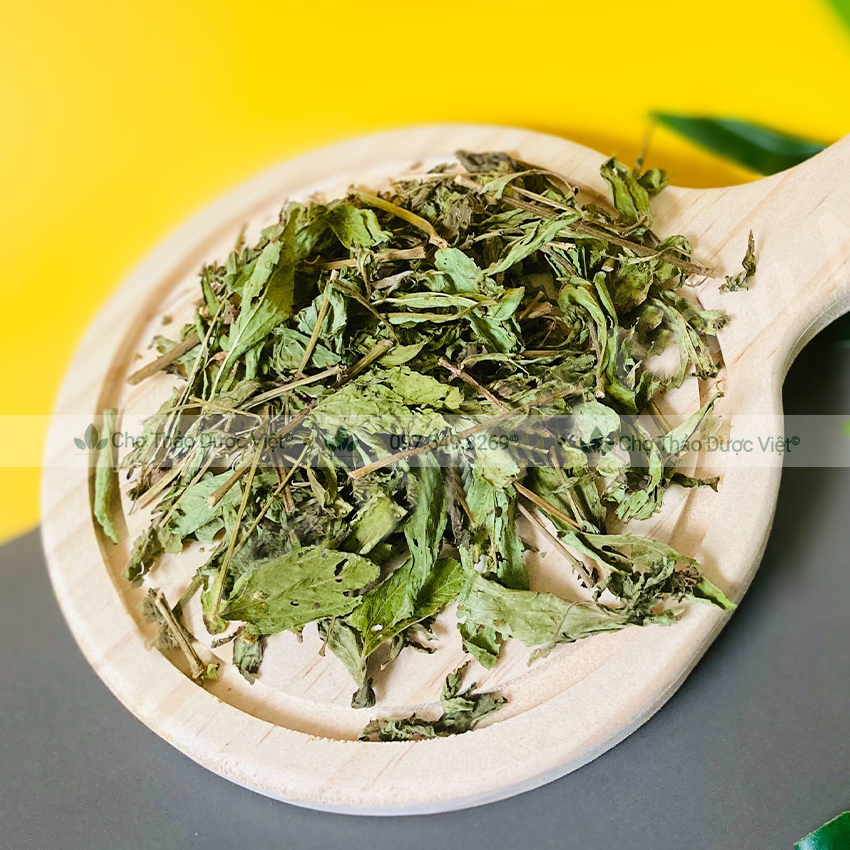 Cỏ ngọt 100g, trà cỏ ngọt sấy khô, vị ngọt tự nhiên, điều vị, đường ăn kiêng tốt cho tiểu đường