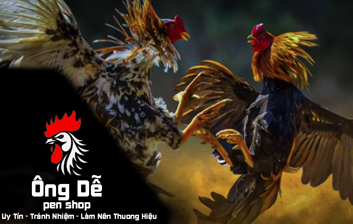 REDCELL dinh dưỡng cho gà đá CHAI 3.8 LÍT
