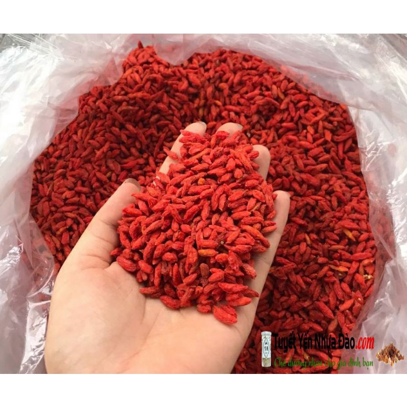 [Shop Mới] KỶ TỬ 100g ( Kỷ tử Ninh Hạ ) sạch, khô, chọn lọc