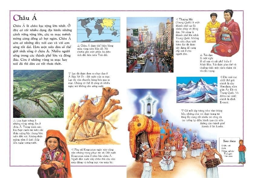 Cá Chép - Bách Khoa Tri Thức Đầu Tiên (Tái Bản)