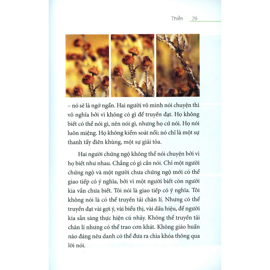 Sách - Thiền Osho (Thái Hà) [Thái Hà Books]