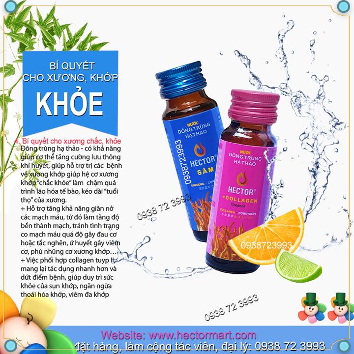 Nước Uống Đông trùng hạ thảo HECTOR COLLAGEN (Hộp 10 Chai)