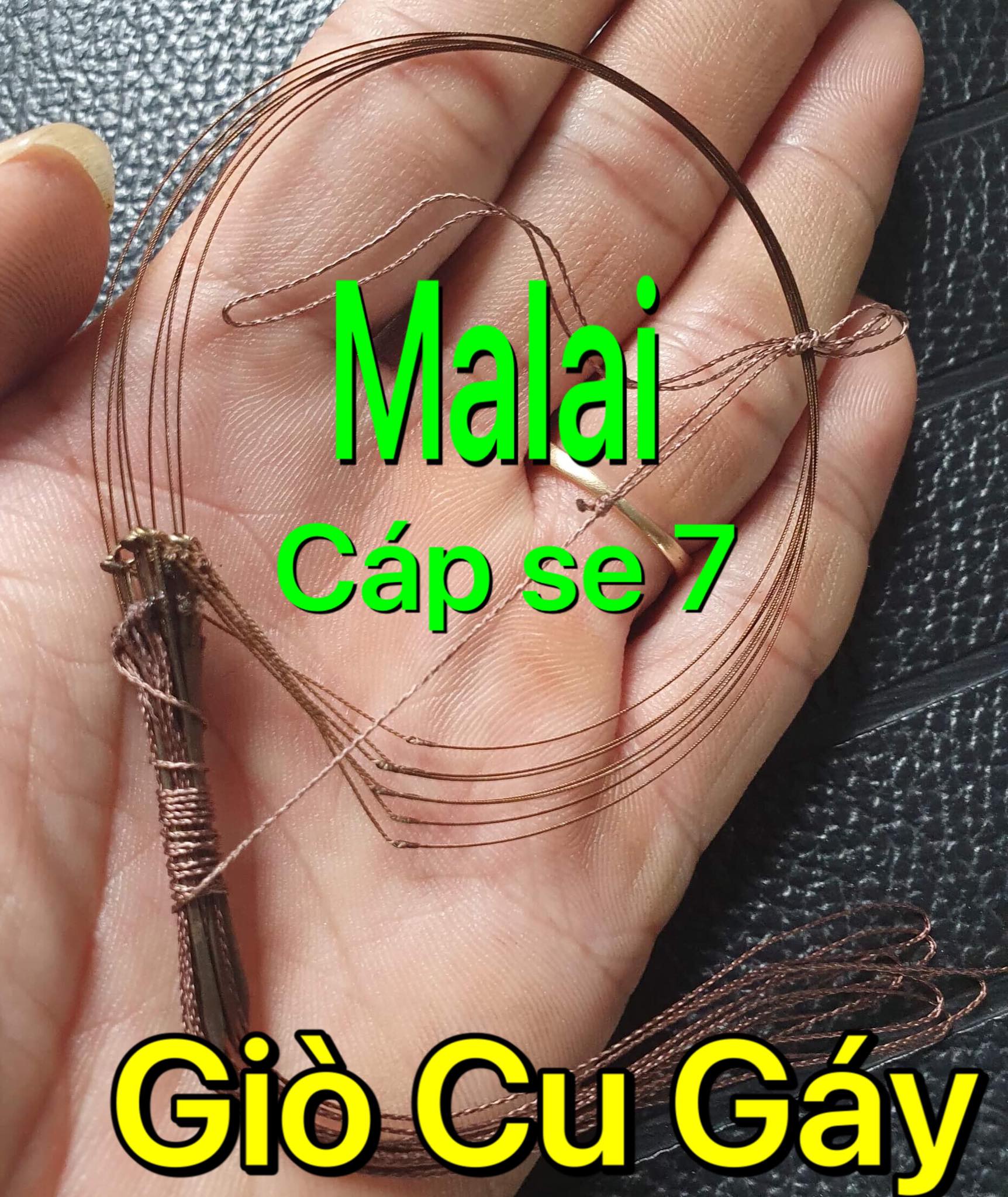 [HCM]Giò bẩy chim Cu gáy cao cấp. Cáp se 7