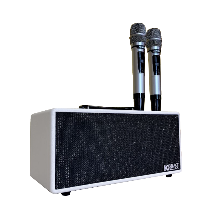 Loa Kéo Di Động Acnos KS363H