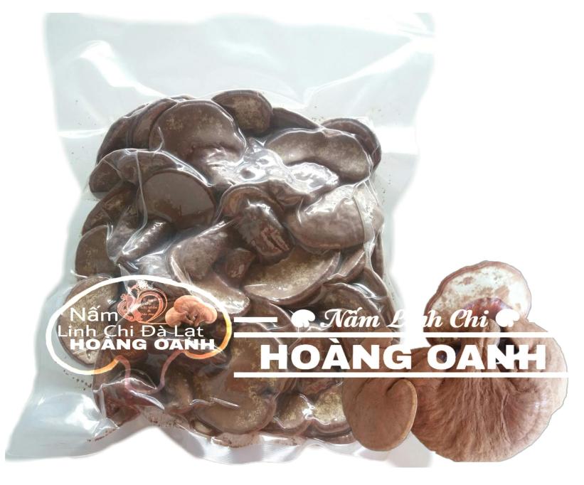 1kg Nấm Linh Chi - Hồng Chi Đà Lạt