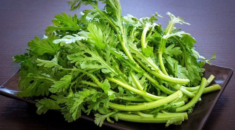 Hạt Giống Cải Cúc Tẻ LUCKY SEEDS