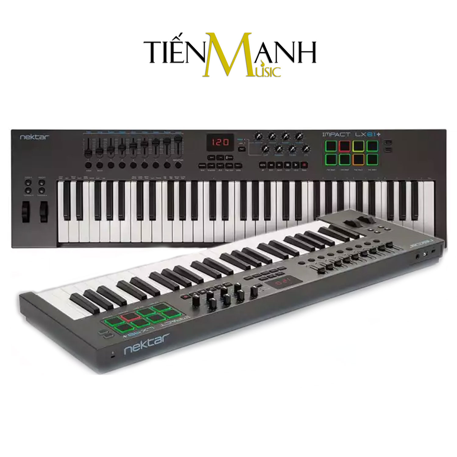 [Trả góp 0%] Nektar Impact LX61+ Midi Keyboard Controller 61 Phím Cảm ứng lực (Bàn phím sáng tác - Sản xuất âm nhạc Producer Compact Semi-Weighted Keys USB)