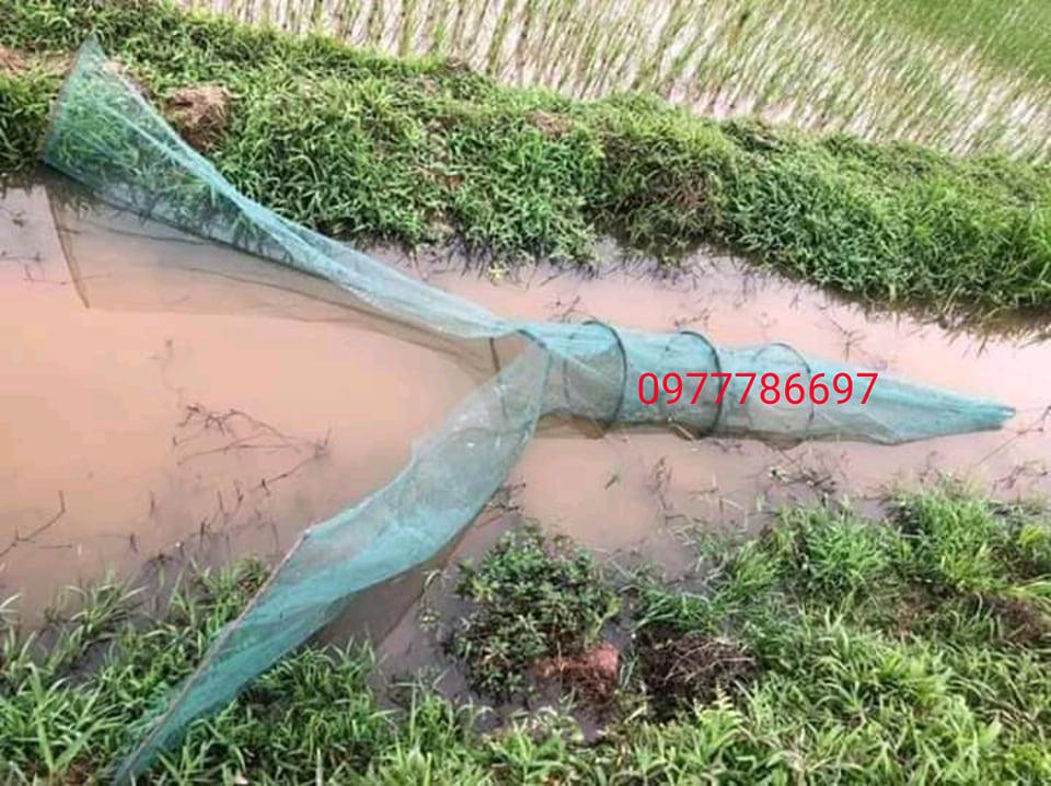 dớn chặn sông mương bắt các loại cá