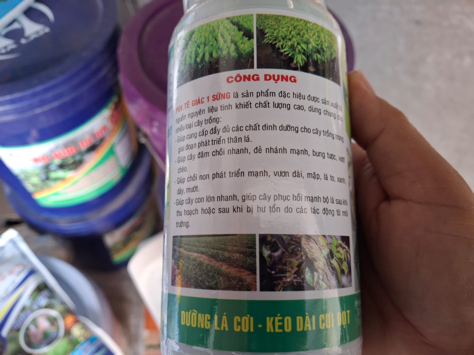 SIÊU VỌT ĐỌT BUNG CHỒI chai 500ml pha cho 300-400 lít nước Giúp cây trồng xanh tốt