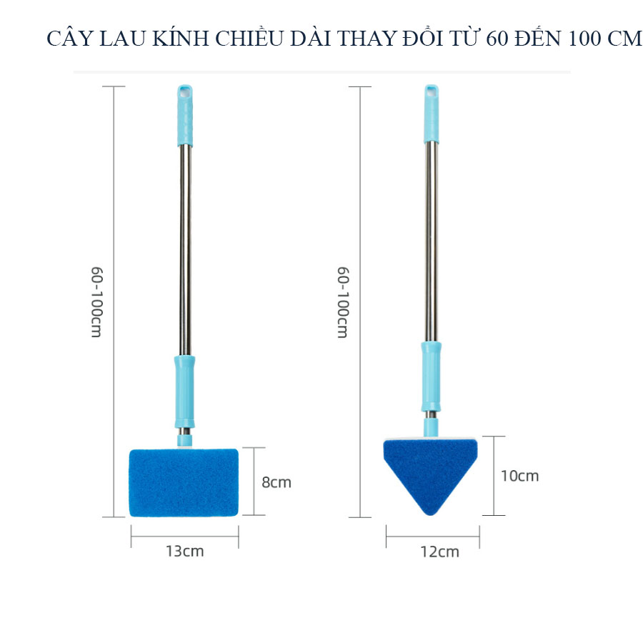 CÂY LAU KÍNH HỒ CÁ HỒ THỦY SINH