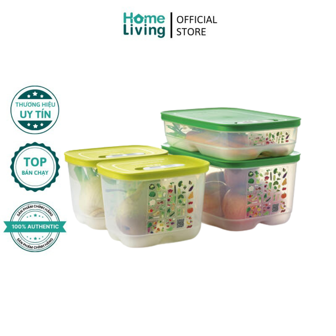 Bộ 4 hộp trữ mát có nút hô hấp VENTSMART