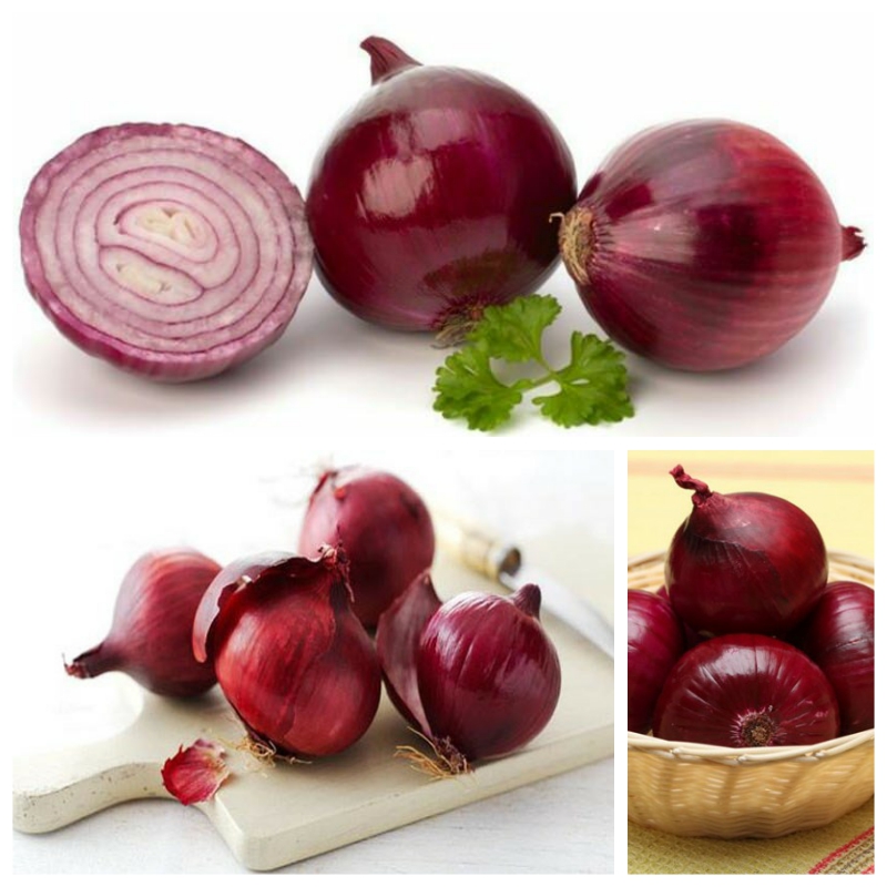 Hạt Giống Hành Tây Đỏ Gói 2gr - SALAD RED 027