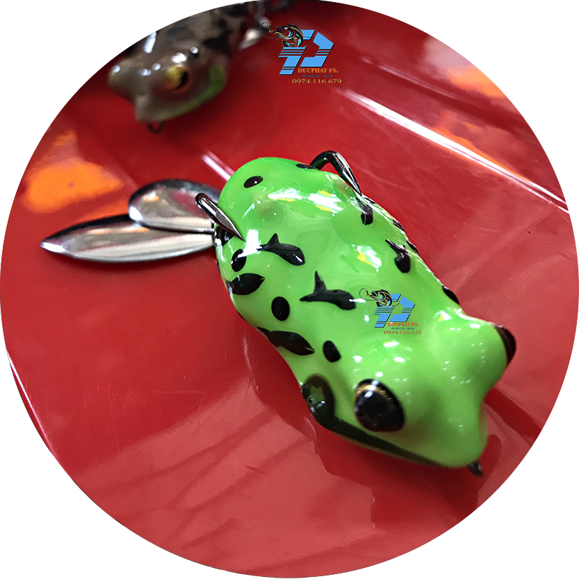 Nhái thái - frog toon V4