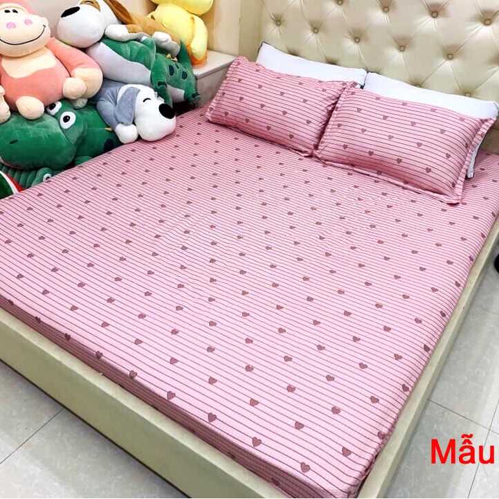 Bộ Ga Gối Cotton Poly 3 Món Mẫu KẺ TIM HỒNG