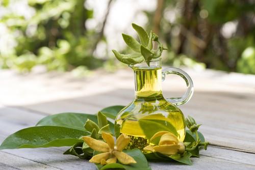 Tinh dầu ngọc lan tây nguyên chất  20ml