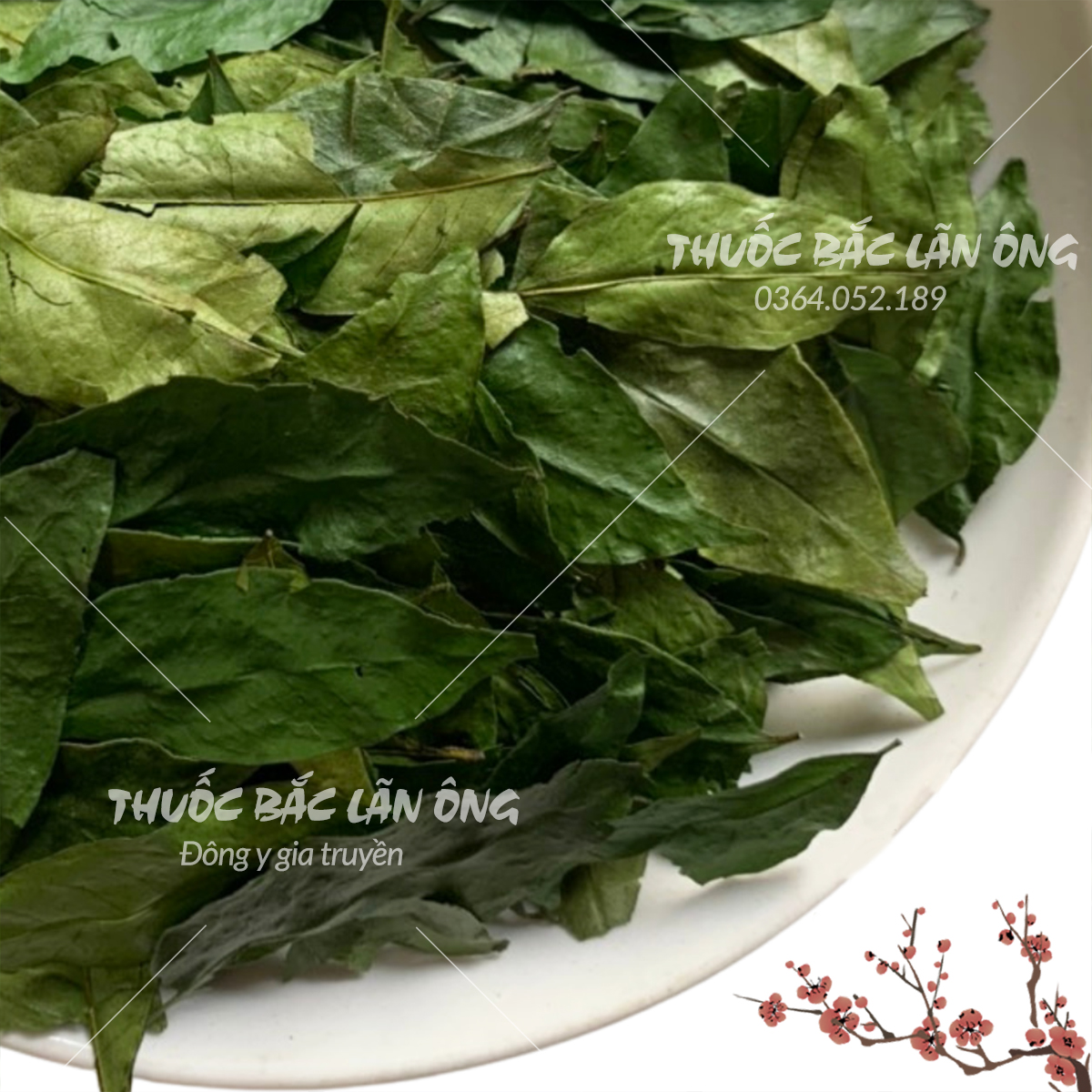 Lá mắc mật khô 500g (móc mật, gia vị tẩm ướp thịt nướng)