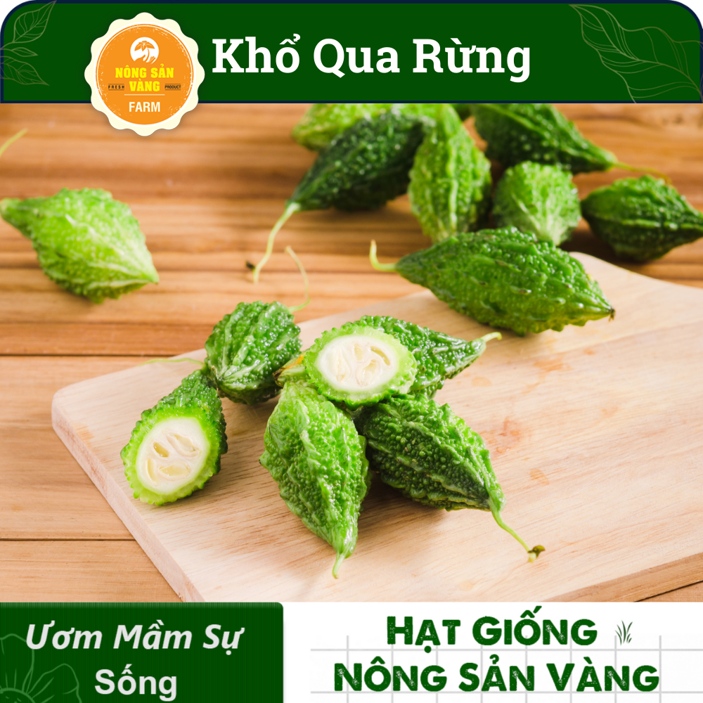 Hạt giống Khổ Qua Rừng Nảy Mầm Cao, Giàu Giá Trị Dinh Dưỡng (Gói 10 Hạt) - Nông Sản Vàng