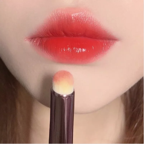 Cọ Môi Ombre Hàn Quốc