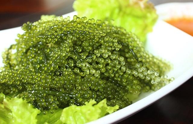 Rong Nho Biển Okinawa