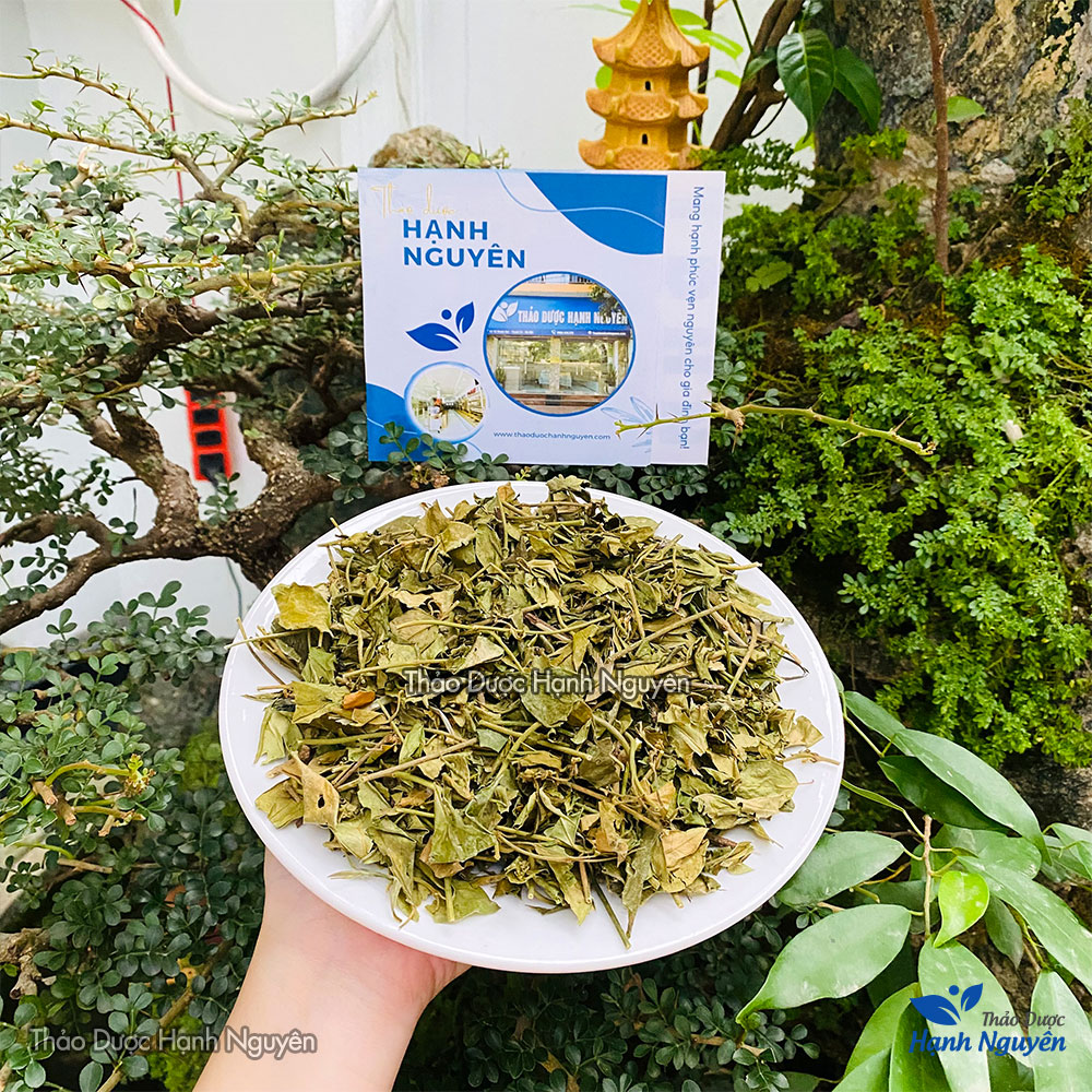 Dây thìa canh khô 1kg, hỗ trợ tốt cho người tiểu đường, giảm mỡ máu, ổn định đường huyết