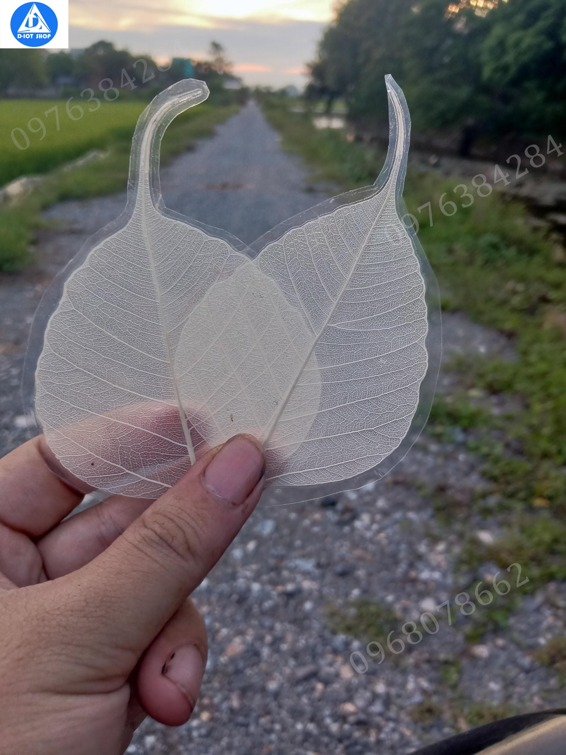 Lá bồ đề ép plastic ốp điện thoại