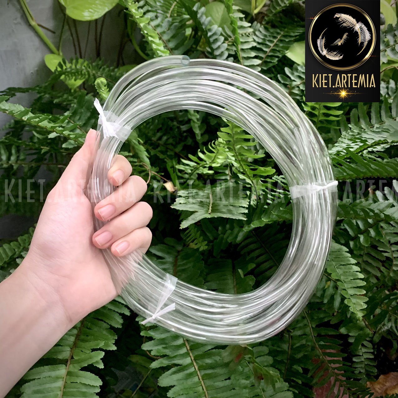 Dây oxy hồ cá, dây sủi khí oxy loại tốt