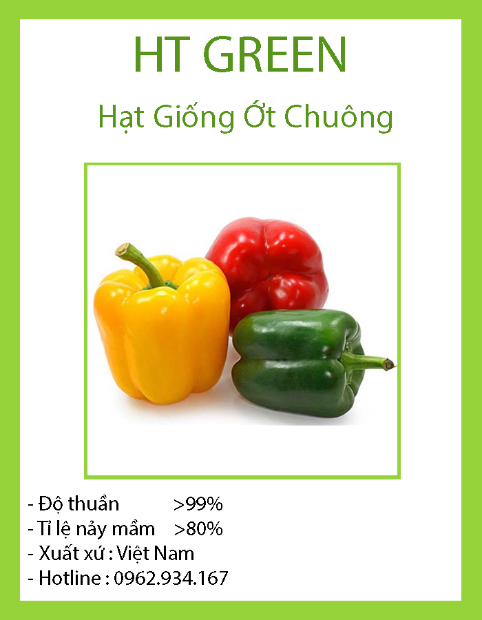 Hạt Giống Ớt Chuông Đà Lạt